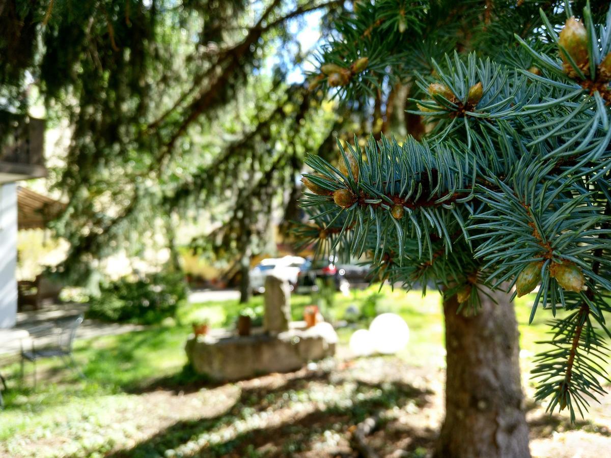 Hotel Pension Schweitzer Silandro Kültér fotó